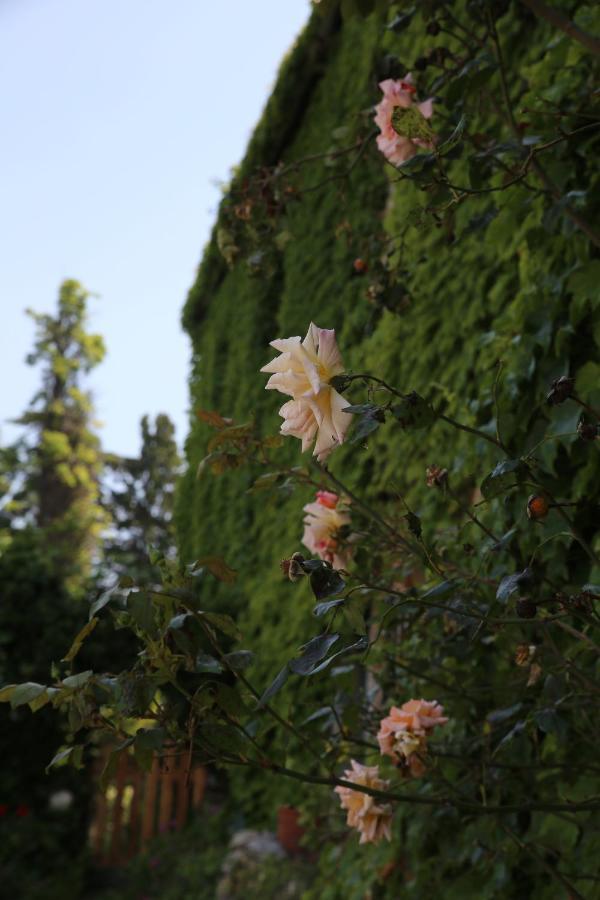 Villa Sunrise Rapallo Exterior foto