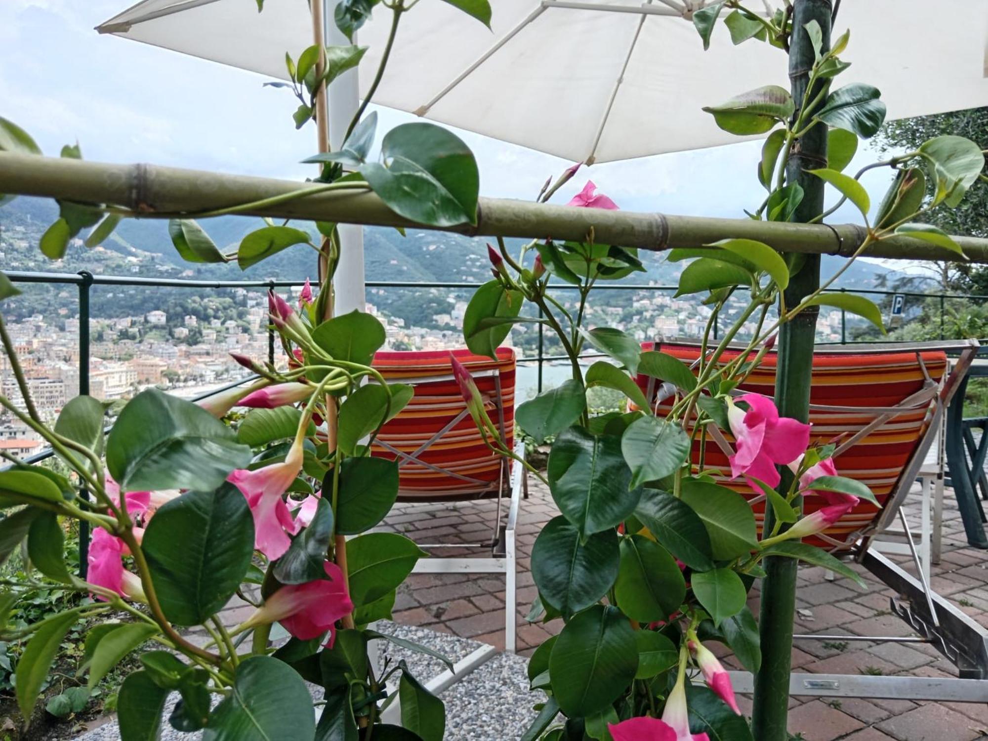 Villa Sunrise Rapallo Exterior foto